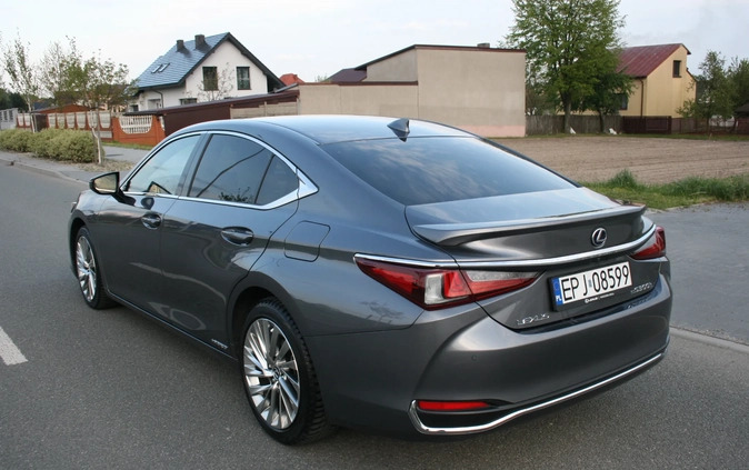 Lexus ES cena 180000 przebieg: 28500, rok produkcji 2019 z Pajęczno małe 466